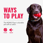 Kong Flyer flying disc isolated on white background