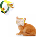 Vomvomp cats visor eye protection mask front view on a kitten for post surgery healing.