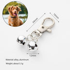 Six piece silver pet collar bells pack attached to a classic dog collar for training.