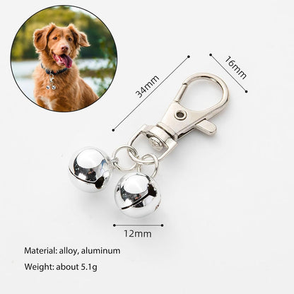 Six piece silver pet collar bells pack attached to a classic dog collar for training.