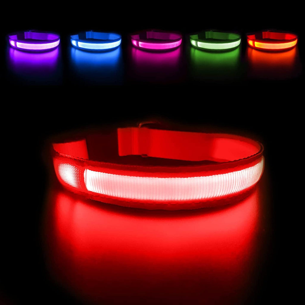 MASBRILL Light Up DogCollars-Rechargeable LED Dog Collar-Waterproof Night Walking Glowing Dog Collar for Small Medium Large Dogs - Image 10