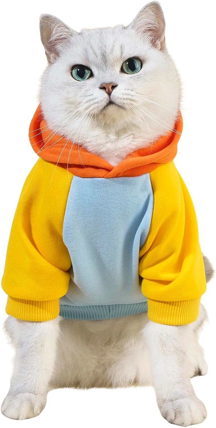 QWINEE Basic Dog Hoodie Sweatshirt Puppy Sweater Warm Cat Costumes Pet Clothes for Chihuahua Puppy Kitten Small Medium Dogs Cadet Blue Medium - Image 13