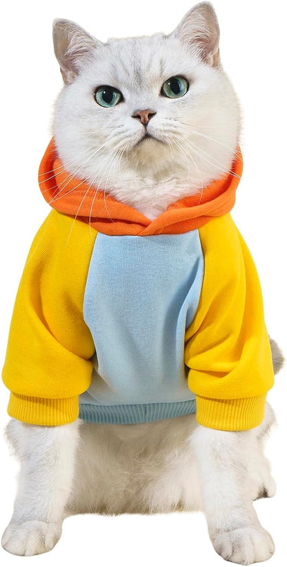 QWINEE Basic Dog Hoodie Sweatshirt Puppy Sweater Warm Cat Costumes Pet Clothes for Chihuahua Puppy Kitten Small Medium Dogs Cadet Blue Medium - Image 13