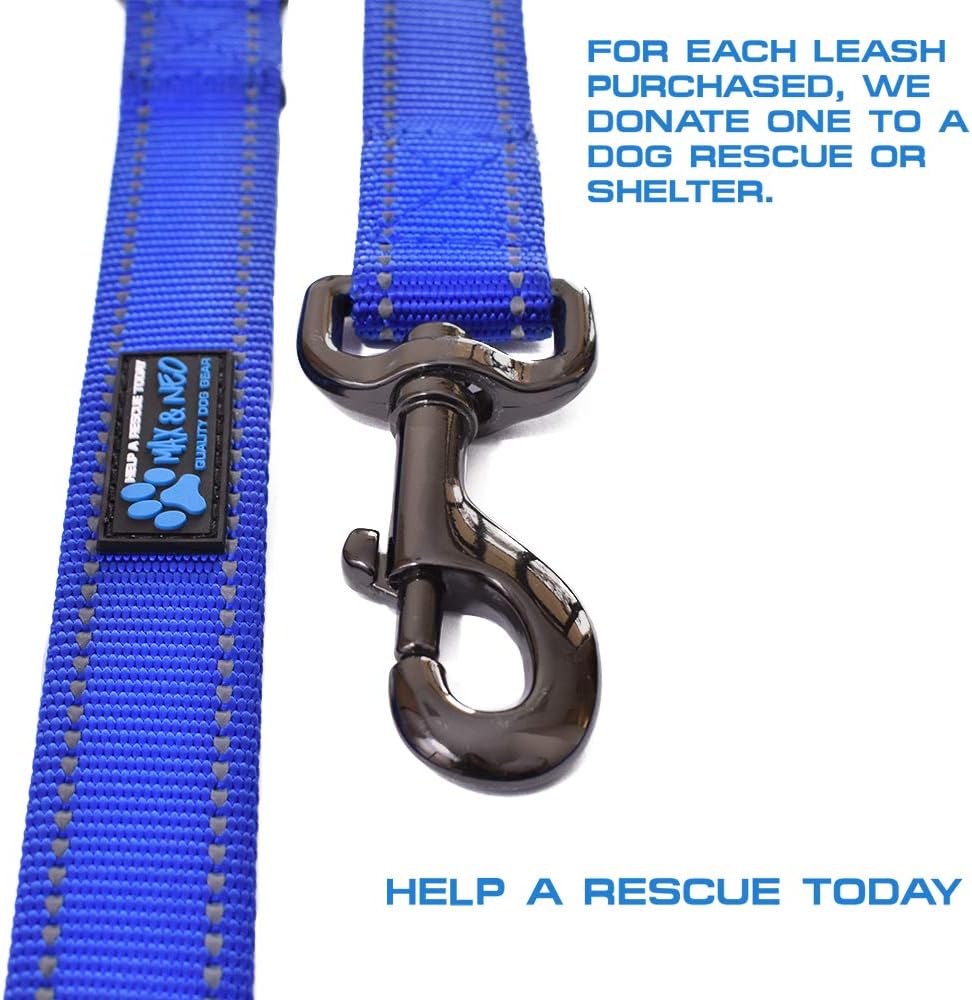 Max and Neo heavy duty nylon dog leash close up of metal bolt snap