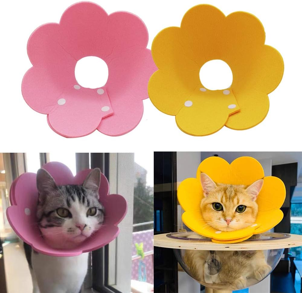 Lanyihome dual row buckle closure on flower cat recovery collar