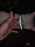 Close up of Hotlion adjustable puppy collar with bell