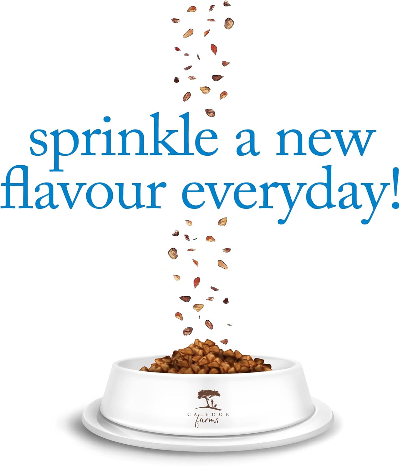 Healthy preservative free dog food seasoning for kibble enhancement