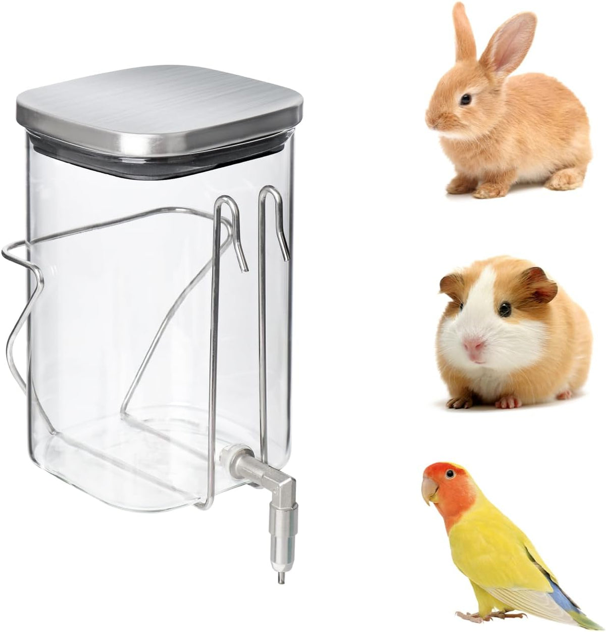 Premium Stainless Steel & Glass Pet Water Bottle - Firing Pin No-Drip Dispenser for Rabbits/Parrots/Rodents | 3 Size Options with Universal Cage Mount (600ml) - Image 7