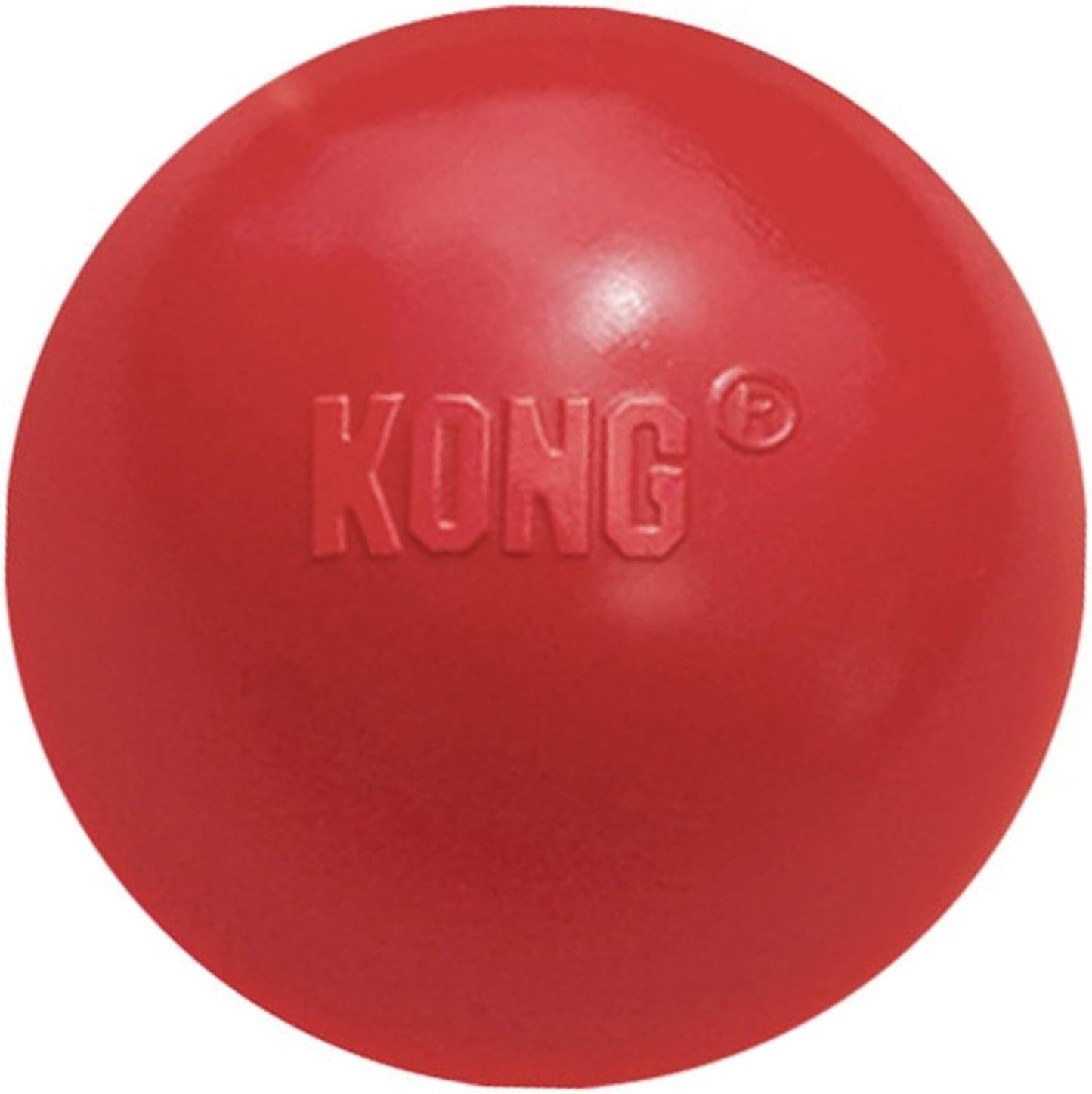 Kong durable dog toy next to a treat for scale