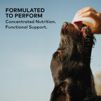 All life stages dog nutritional supplement for shiny coat health