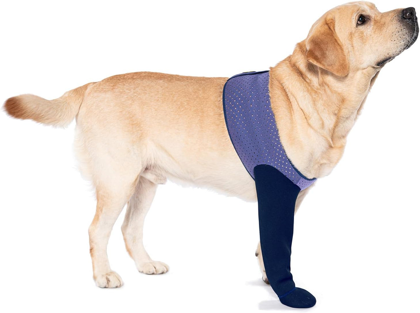 Coodeo dog socks for post-surgery paw care