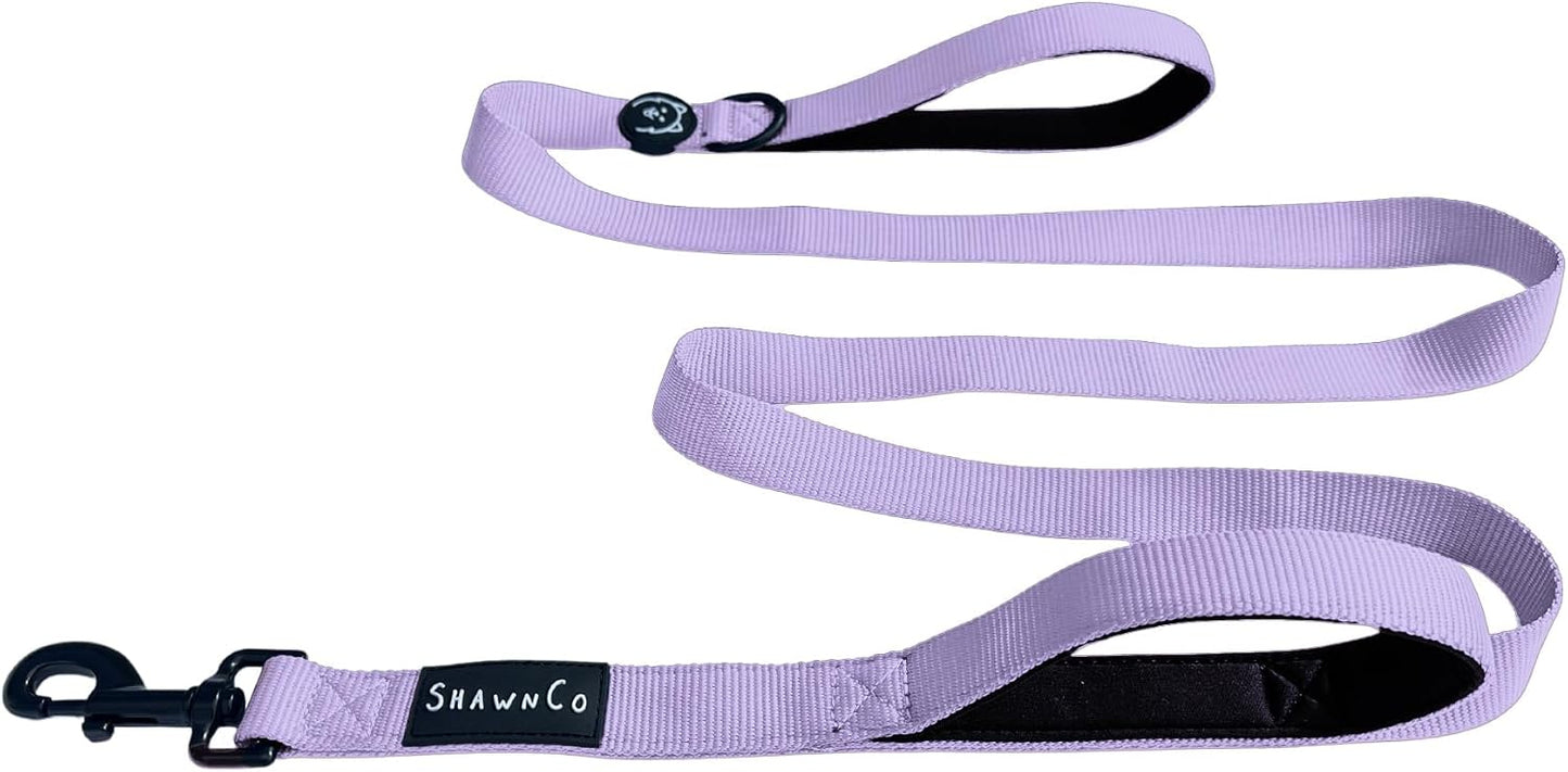 ShawnCo Dream Walk Dog Leash front view premium nylon pet leash