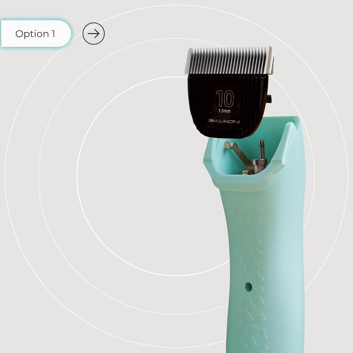 Professional cat and dog trimmer demonstrating the installation of snap on guard combs.