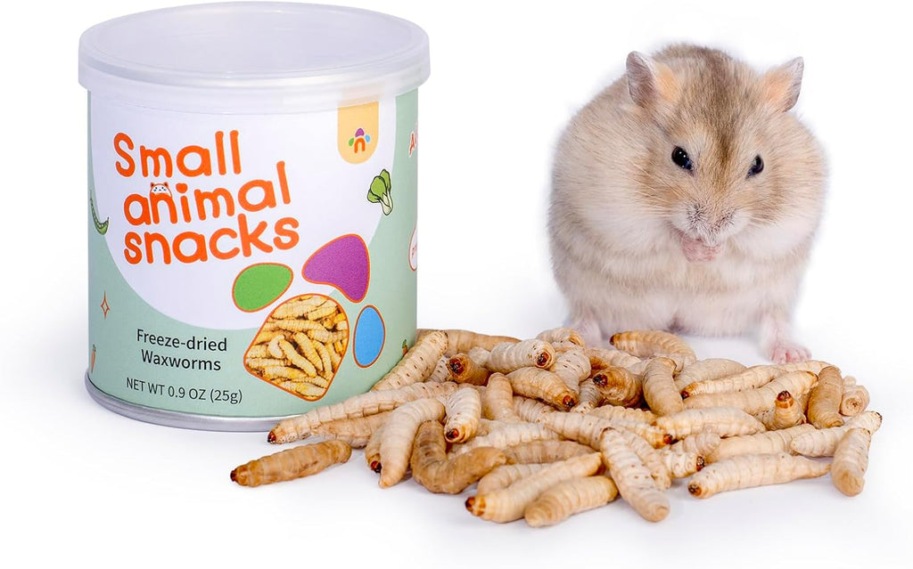 Niteangel Small Animal Snack & Treats - Small Critter Natural Treat for Dwarf Syrian Hamsters Gerbils Mice Sugar Glider Hedgehogs Chickens Birds (Freeze-Dried Worms- 1.4oz (40g)) - Image 12