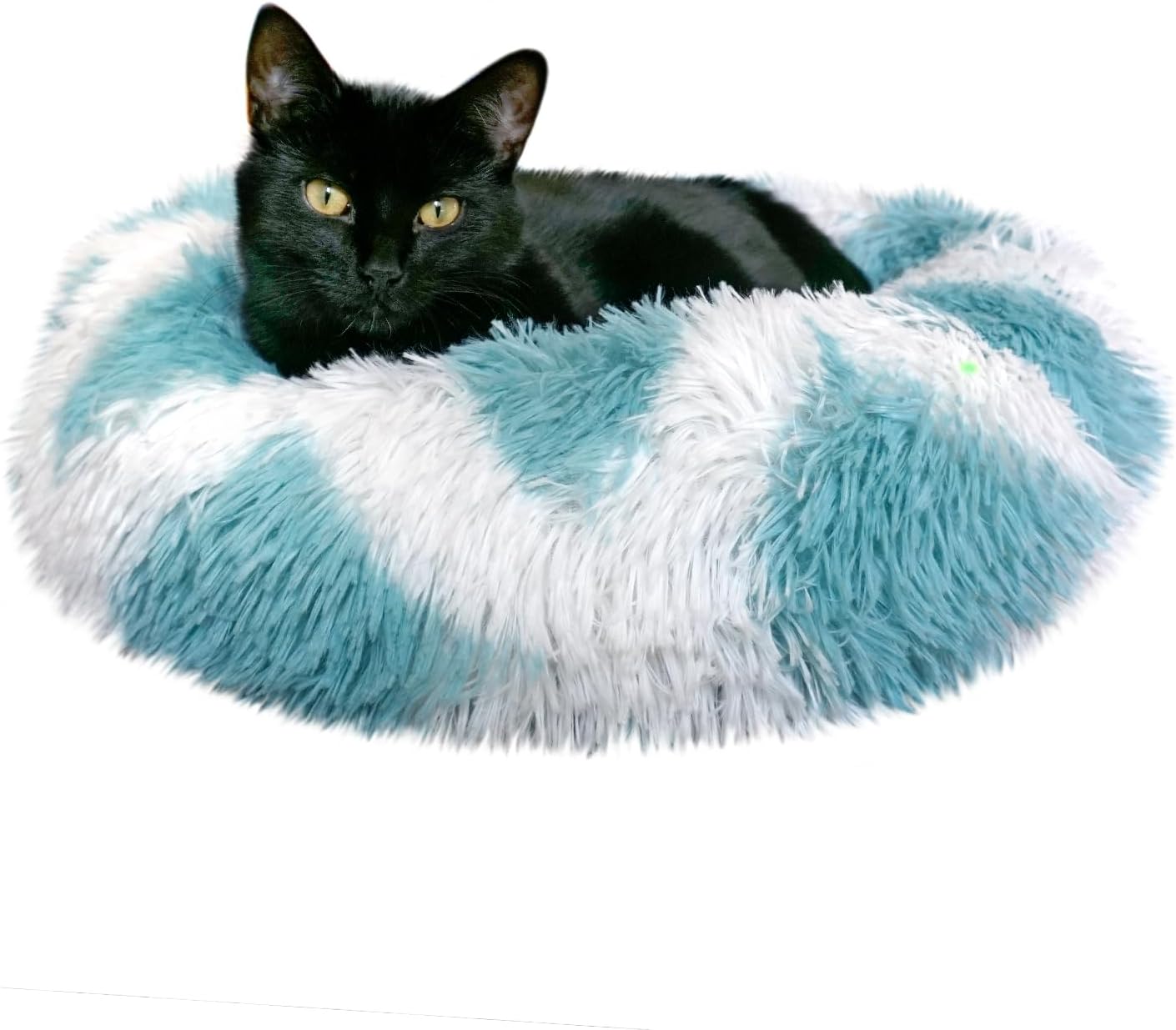 Small dog relaxing in Whiskers & Friends orthopedic bed