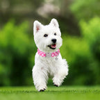 Detailed view of breathable cotton fabric pattern