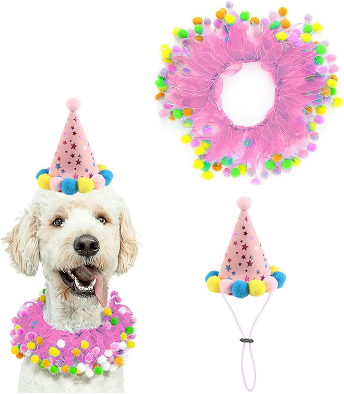 Lionheart Glory imported pet celebration outfit setup for photo shoots