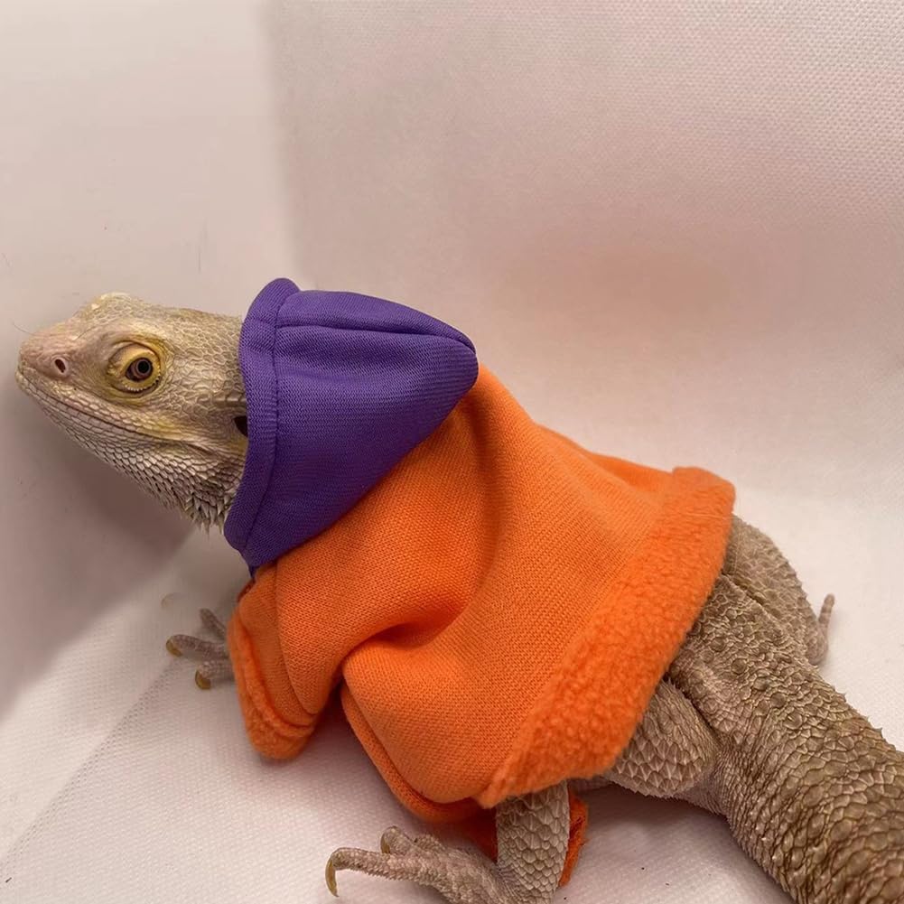 Large size lizard apparel with adjustable drawstring hood
