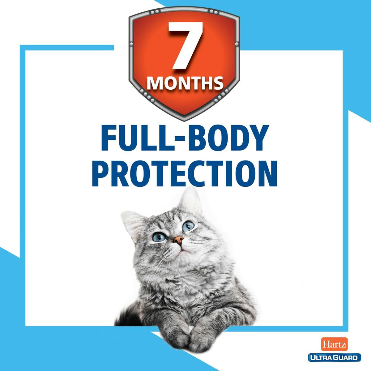 Hartz authentic USA imported flea treatment collar for cats product shot
