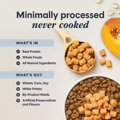 Instinct gut health raw boost mixers close up view of premium kibble topper