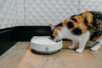 Cat Mate five meal automatic feeder with lid open displaying food compartments