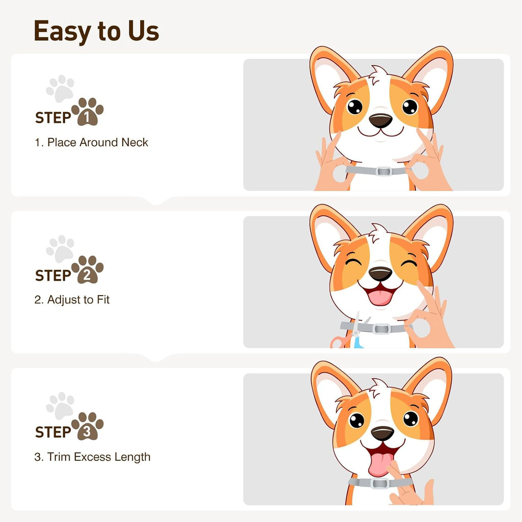 Dog wearing waterproof BestHoby tick prevention collar