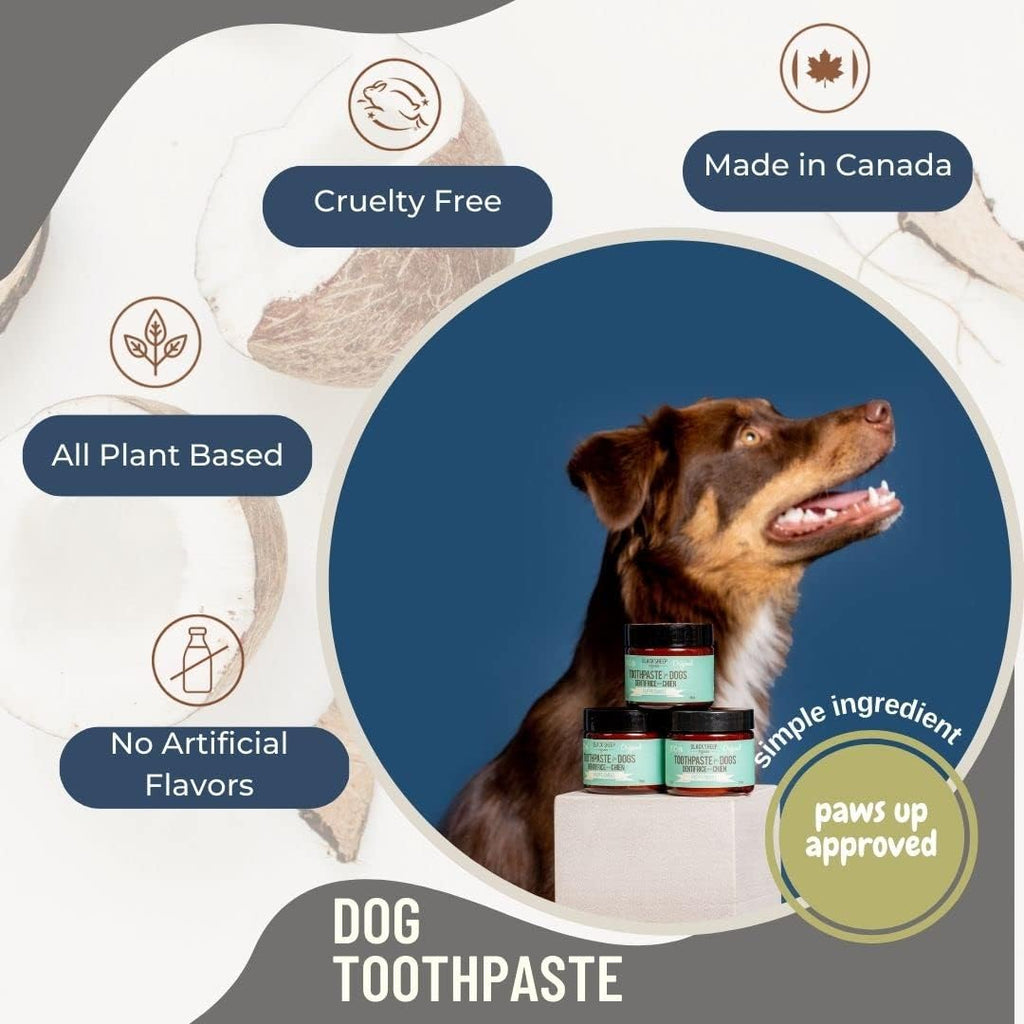 Black Sheep Organics dental care for dogs in original packaging