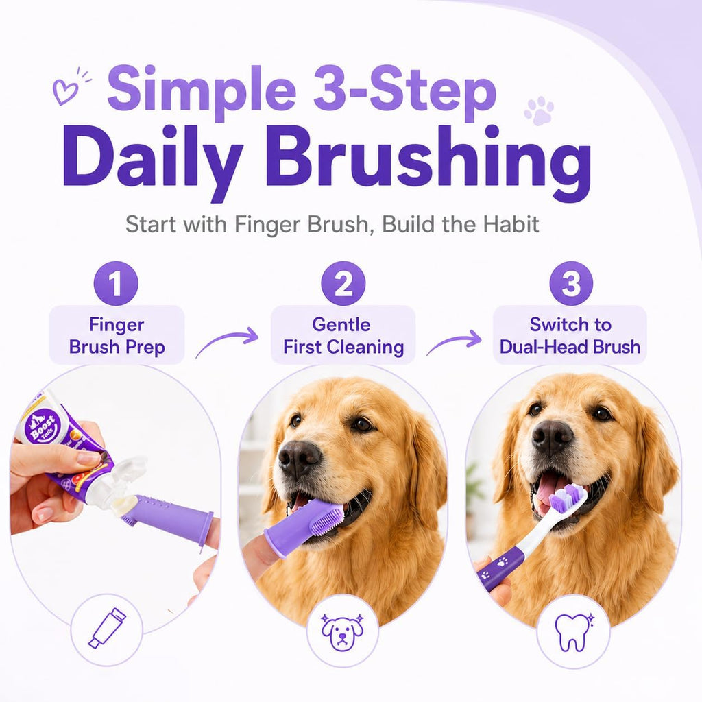 VVHOMIFE safe to swallow non foaming canine toothpaste being applied to a blue pet toothbrush