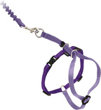 PetSafe Come With Me Kitty Harness and Bungee Cat Leash, Lilac, Medium - Image 13