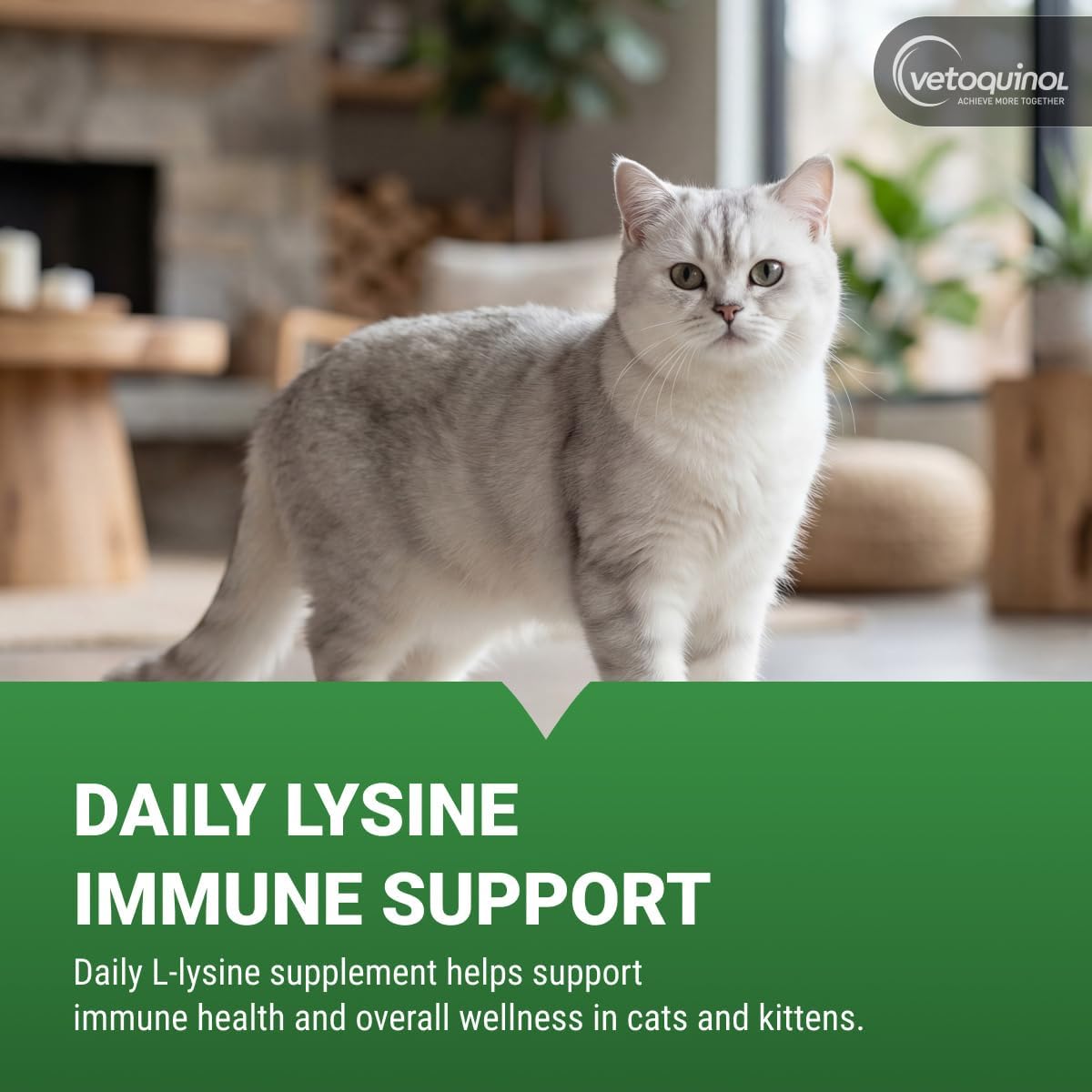 Vetoquinol Enisyl-F cat supplement pump dispenser close up