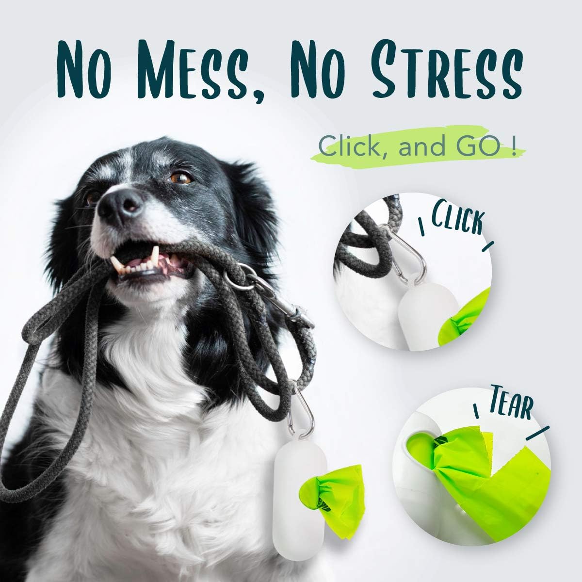 Nine by thirteen inches green compostable pet bags demonstrating standard sizing.