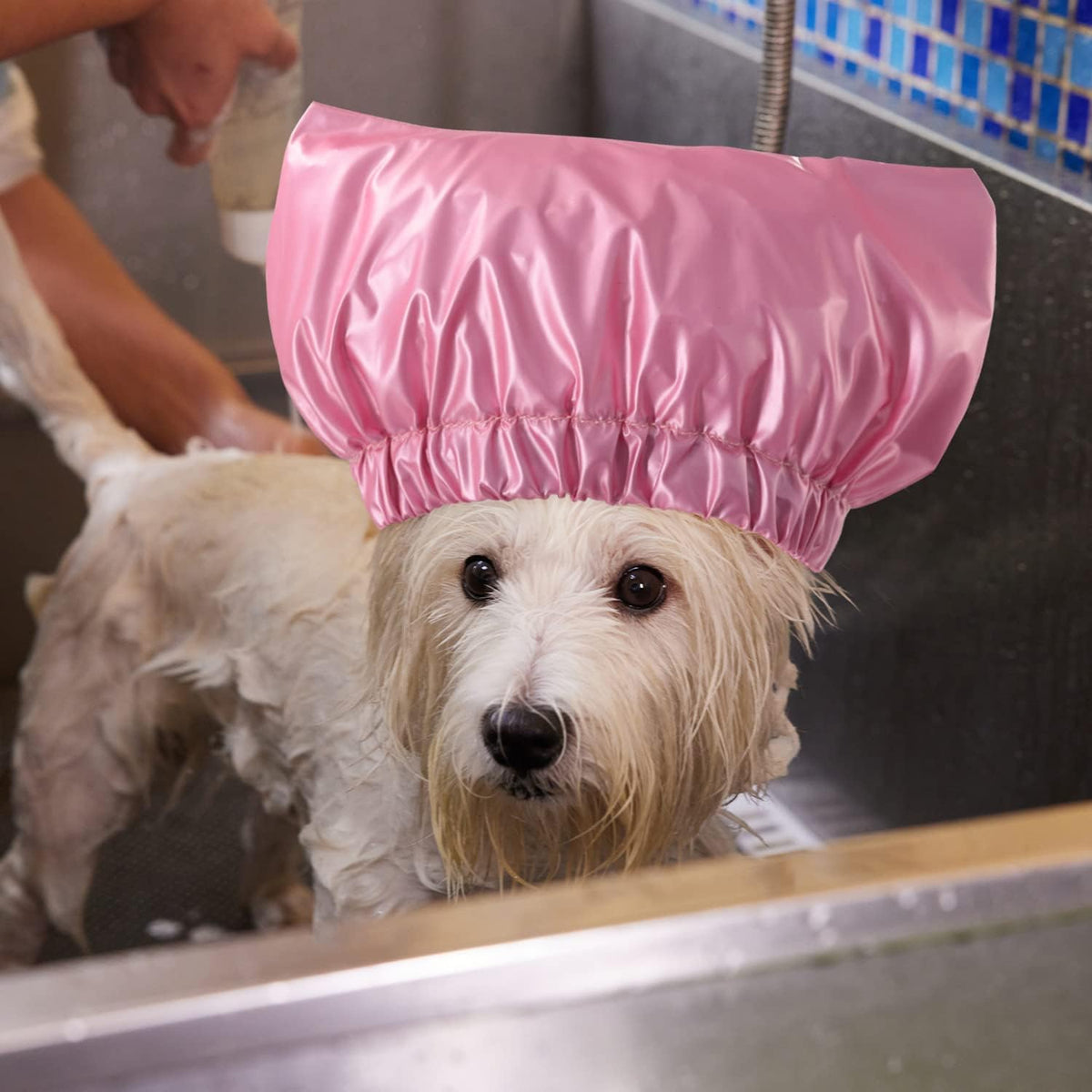 Pet Shower Cap Waterproof Reusable Bath Ear Covers with Adjustable Strap Cat Dog Bathing Hat for Ears Protection Elastic Headgear for Cat Dog Kitten Puppy (Pink,M (12.6''-18.1'')) - Image 9