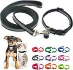 Side view of Hotlion XS dog collar showing adjustment range