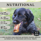 Six pack alignment of long lasting dog chews for aggressive chewers up to fifty pounds.