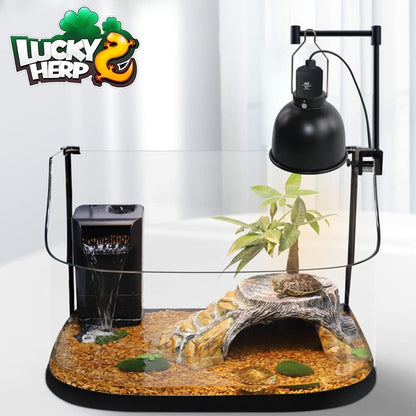 Lucky Herp terrarium basking light fixture placed over a reptile glass enclosure.
