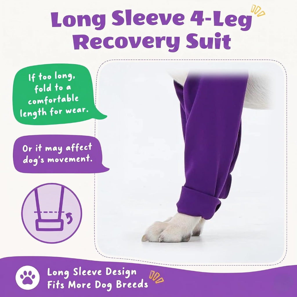Small dog resting comfortably in purple recovery onesie