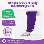 Small dog resting comfortably in purple recovery onesie
