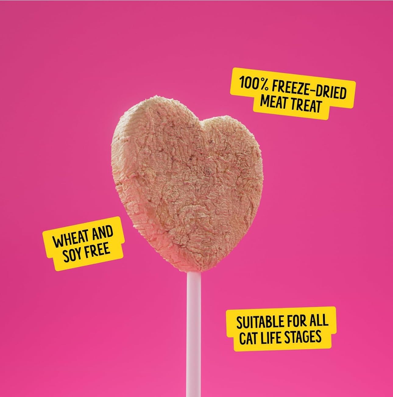 Freeze dried real meat salmon cat treat on a stick