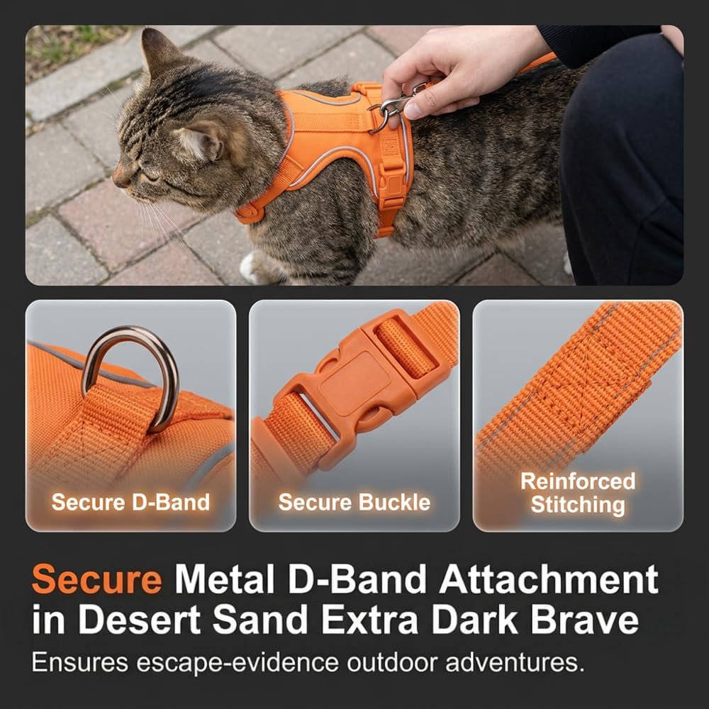 Nitvei lightweight outdoor cat leash and harness bundle layout with included accessories