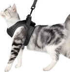 HEYWEAN Cat Harness and Leash - Ultra Light Escape Proof Kitten Collar Cat Walking Jacket with Running Cushioning Soft and Comfortable Suitable for Puppies Rabbits - Image 14
