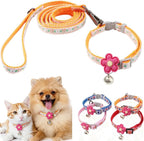 Full lifestyle display of the pink floral miniature dog walking accessory set with silver hardware