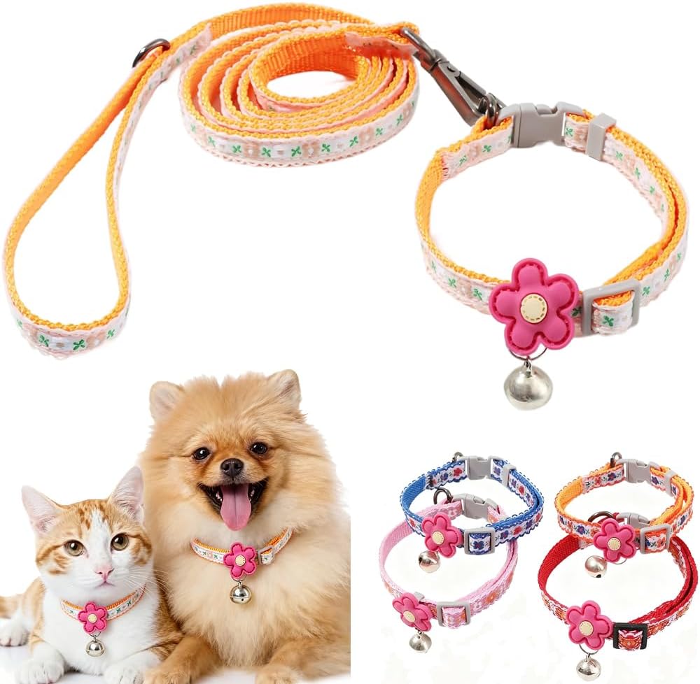 Full lifestyle display of the pink floral miniature dog walking accessory set with silver hardware