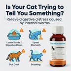 Morvequa cat deworming syrup mixed easily into wet food