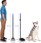 Non stick pet waste tray and rake set for outdoor dog poop removal.