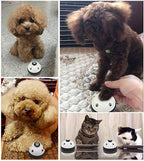 Close up of paw print metal pet training bell