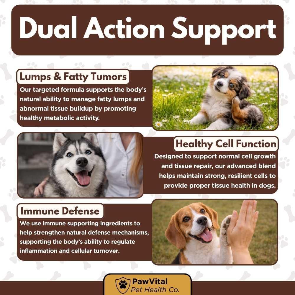 Lipoma Treatment for Dogs - Lumps & Bumps Support, Helps Reduce Fatty Tumors, Turkey Tail Mushroom Chews for Immune Health with L Carnitine, Chicken Flavor, 150 Soft Chews - Image 9