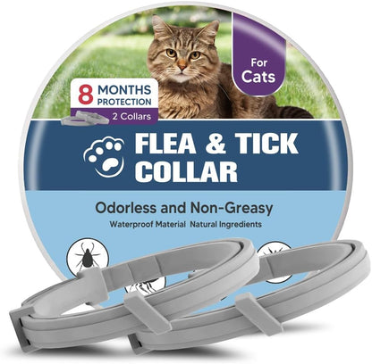 Foodie Puppies cat flea and tick collar 2 pack front view