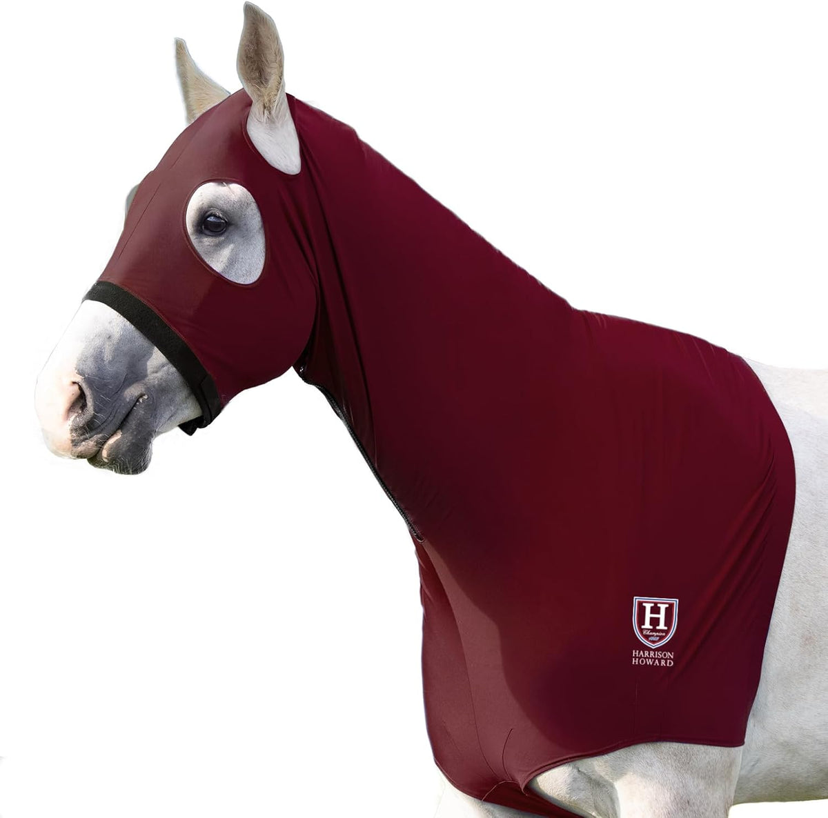 Harrison Howard equestrian stretch hood fitted on a horse inside a stable setting for mane protection.