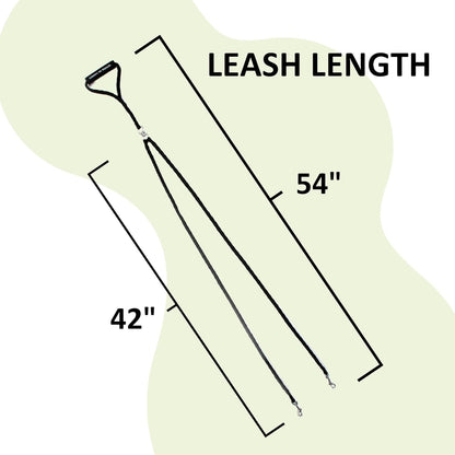 Heavy duty double dog leash showing the 360 degree tangle free swivel connector.