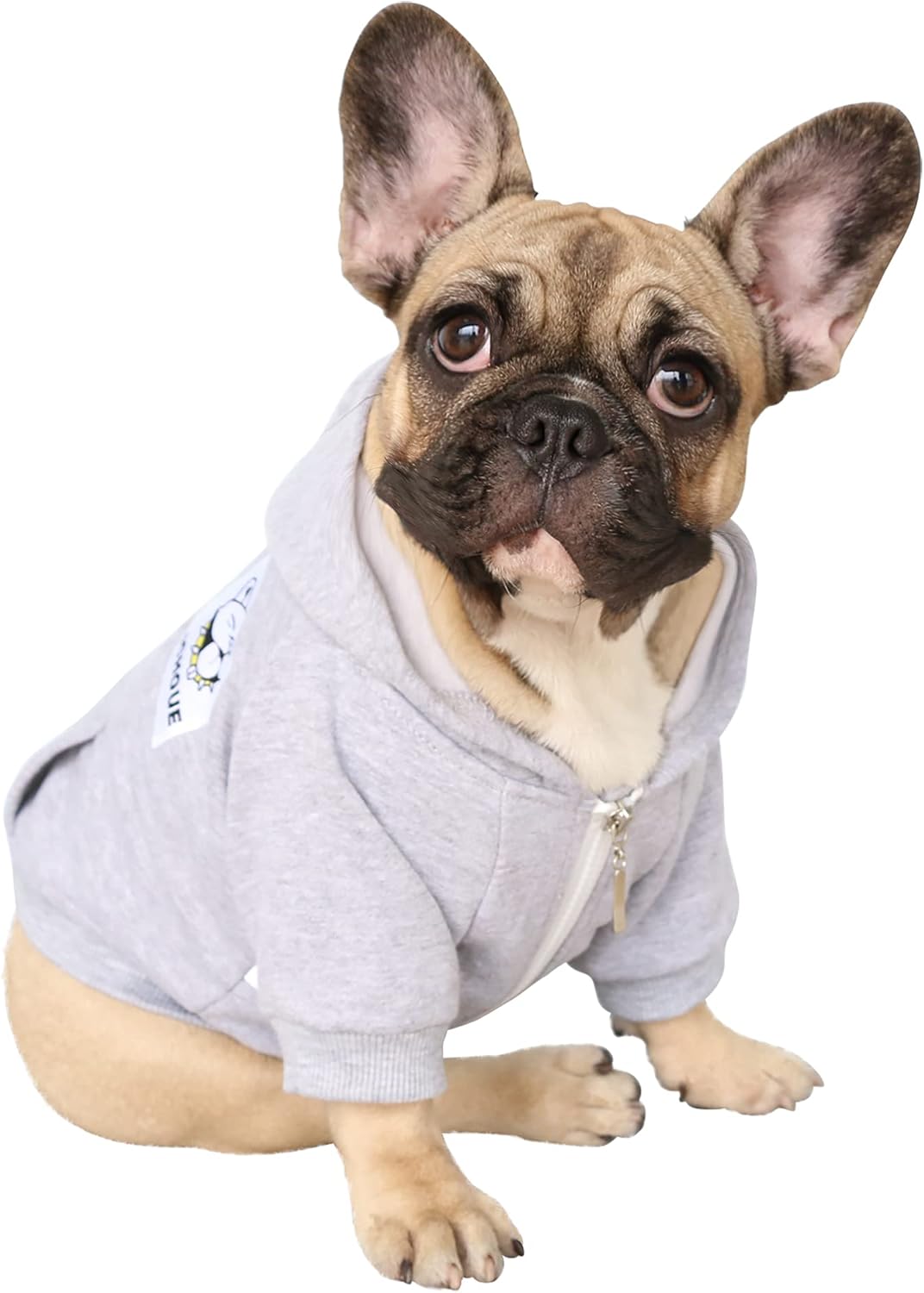 iChoue French Bulldog Dog Hoodie in grey front view showcasing broad chest fit.